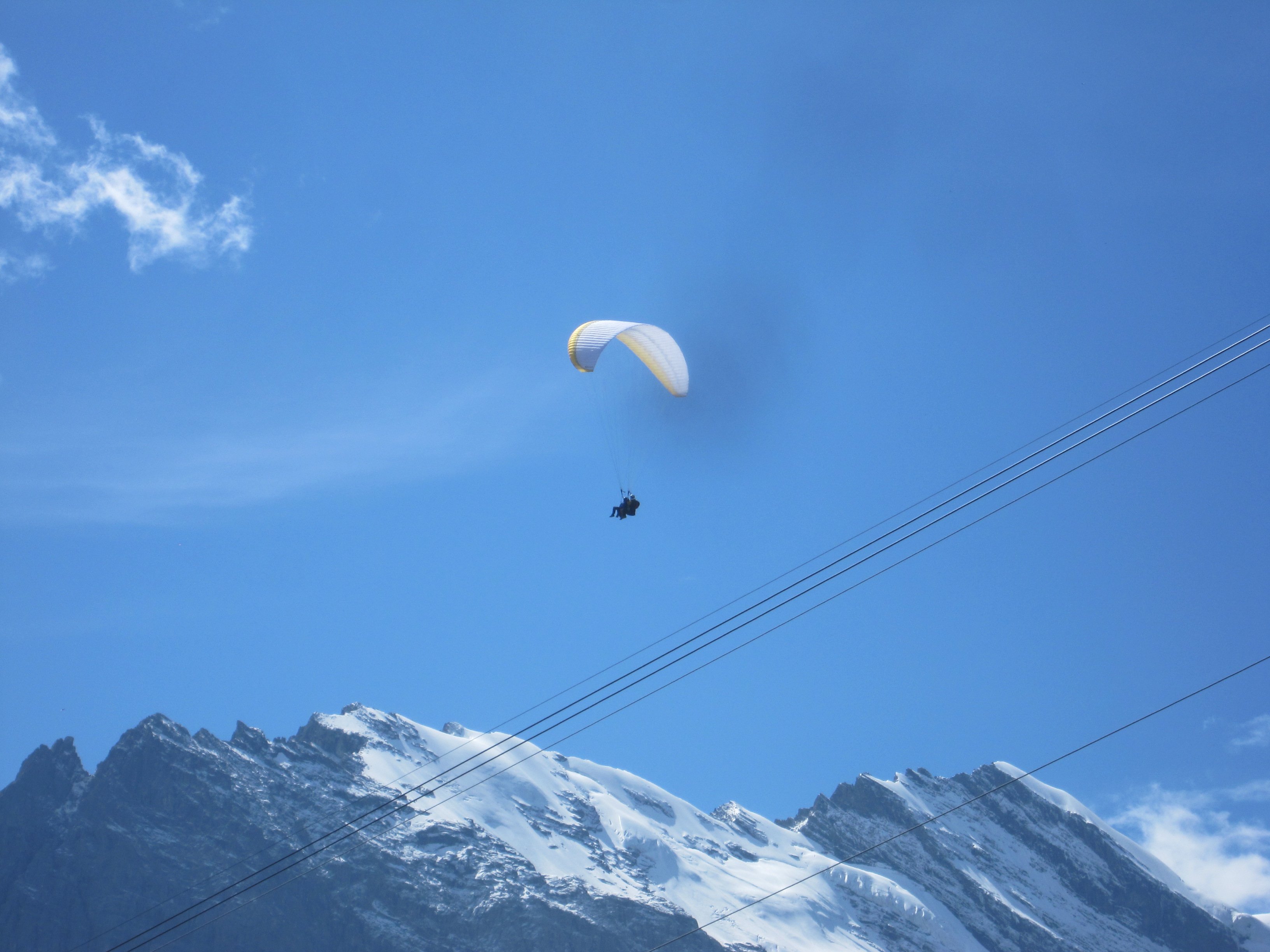 paragliders.jpg