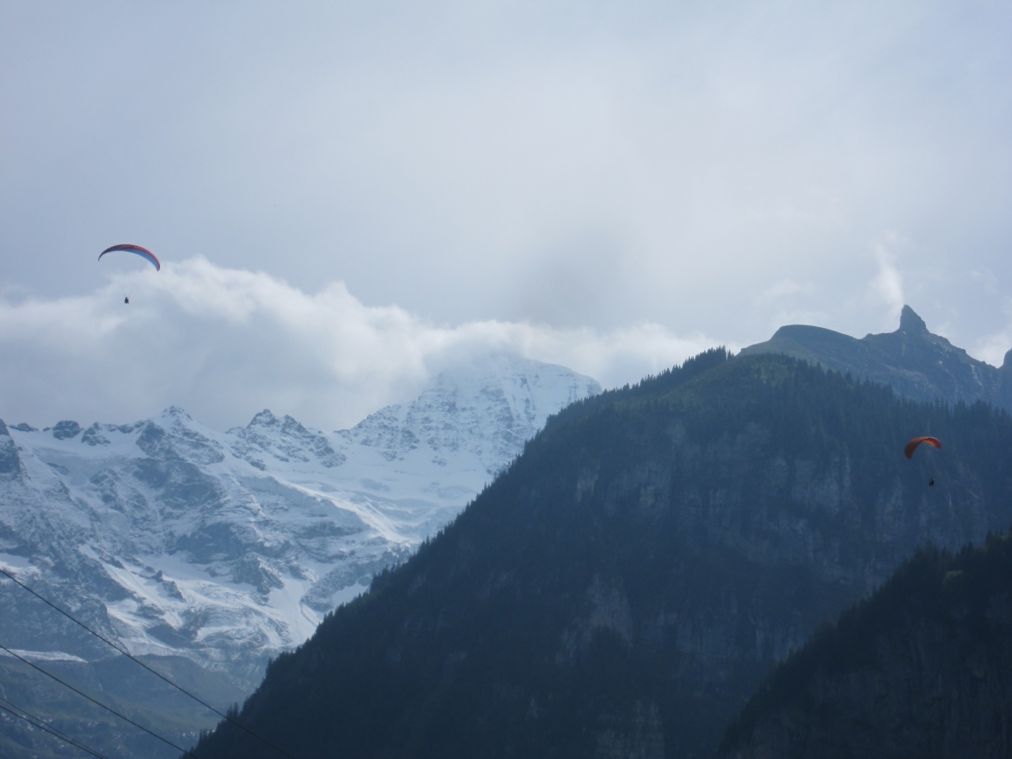 paragliders2.jpg