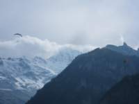 paragliders2_small.jpg