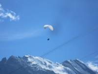 paragliders_small.jpg