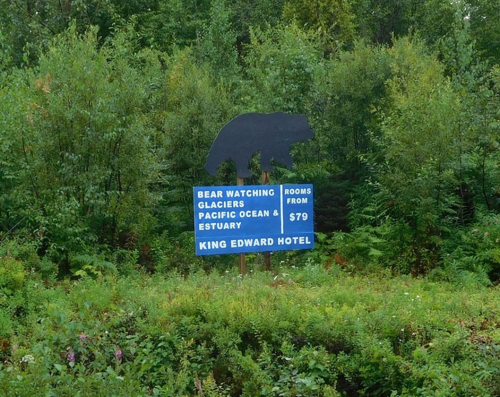 wildllfe03.jpg