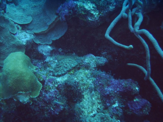 sea002.jpg