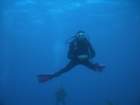 sea003_small.jpg