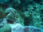 sea010_small.jpg
