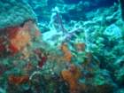 sea012_small.jpg