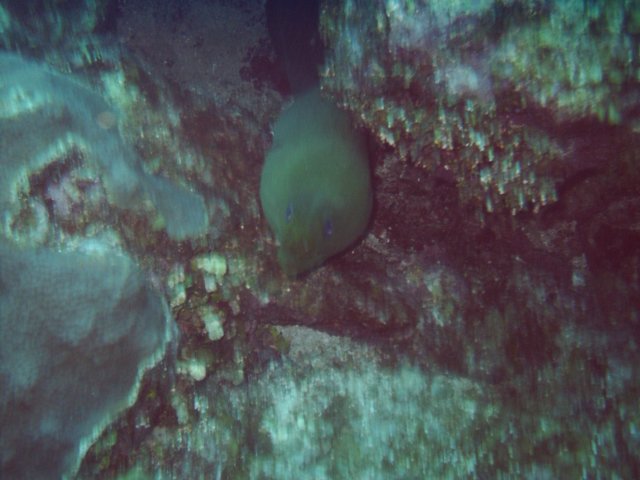 sea014.jpg