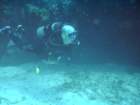 sea019_small.jpg