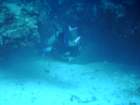 sea020_small.jpg