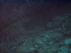 sea021_small.jpg