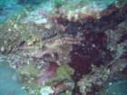 sea027_small.jpg