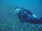 sea039_small.jpg
