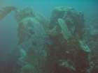 sea042_small.jpg