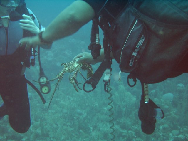 sea045.jpg