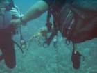 sea045_small.jpg