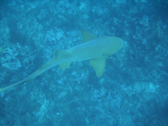 sea046.jpg