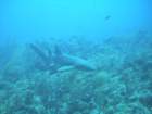 sea049_small.jpg