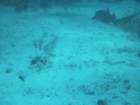 sea053_small.jpg