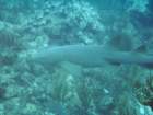 sea057_small.jpg
