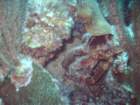 sea062_small.jpg