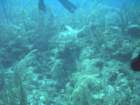 sea069_small.jpg