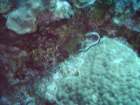 sea072_small.jpg
