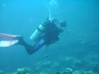 sea075_small.jpg