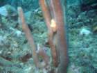 sea081_small.jpg