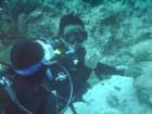 sea084_small.jpg