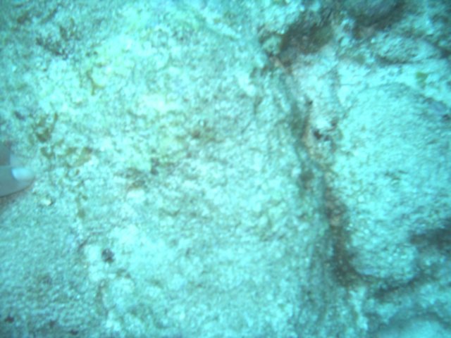sea085.jpg