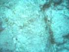 sea085_small.jpg