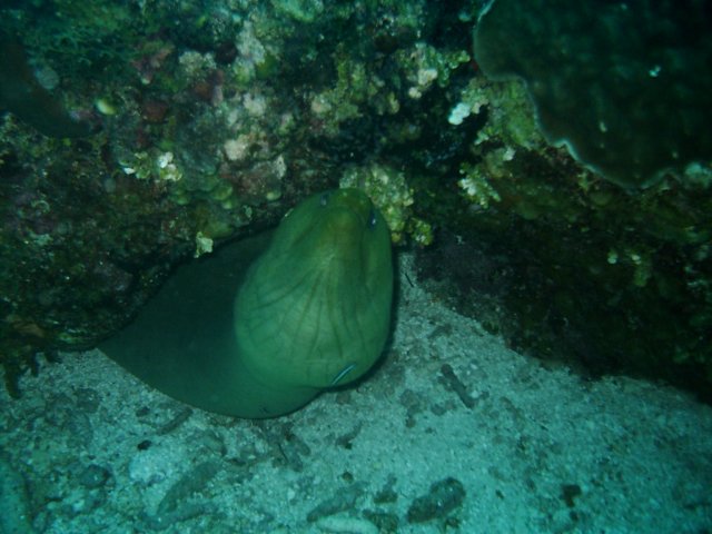 sea086.jpg