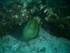 sea086_small.jpg