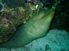 sea087_small.jpg