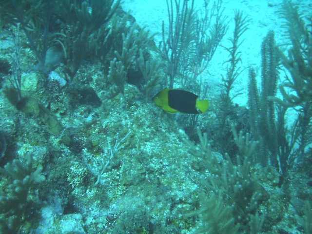 sea094.jpg