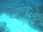 sea100_small.jpg