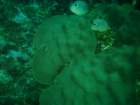 sea107_small.jpg