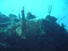 sea115_small.jpg