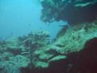sea116_small.jpg