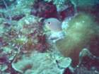 sea119_small.jpg