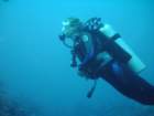 sea120_small.jpg
