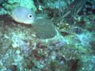 sea123_small.jpg