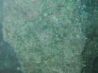sea128_small.jpg