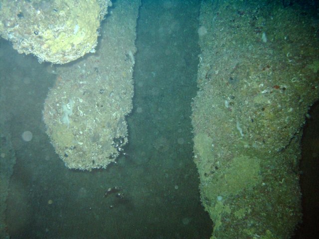 sea131.jpg