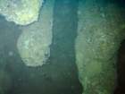 sea131_small.jpg