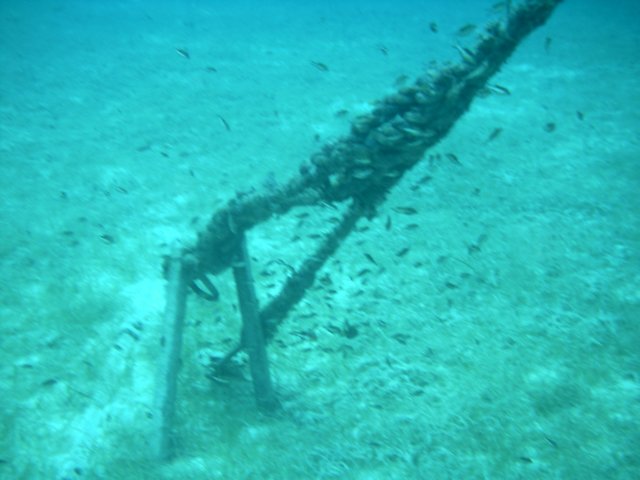 sea136.jpg