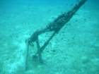 sea136_small.jpg