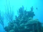 sea139_small.jpg