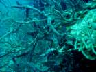 sea140_small.jpg