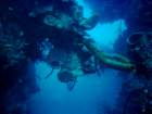 sea141_small.jpg