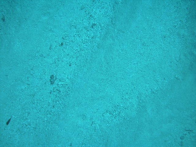 sea154.jpg